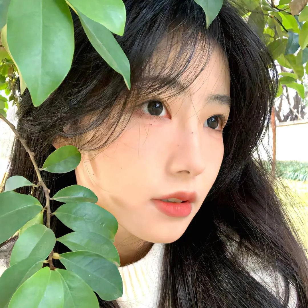恐怖连结
