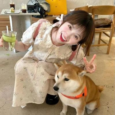 缘来我可以封面